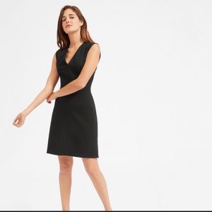 Everlane V Neck Stretch dress